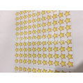 2016 new type PVC star sticker